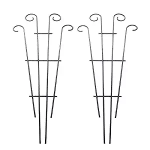 Best 36 Inch Garden Trellis