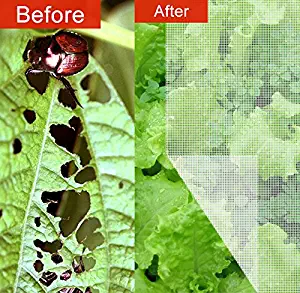Best Insect Garden Netting