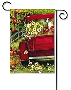 Best Susan Winget Garden Flags