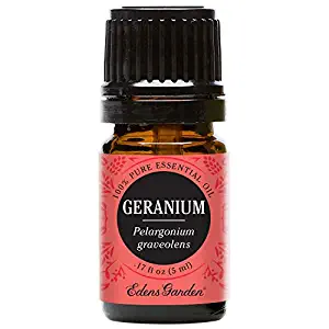 Best Edens Garden Rose Oil