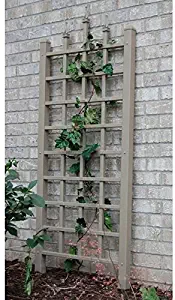 Best Garden Trellis Anchor