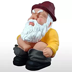 Best Garden Gnome Christmas