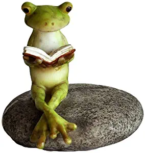 Best Top Collection Fairy Garden Accessories