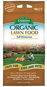 Best Alternative Lawn Fertilizer