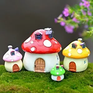 Best Mini Mushrooms For Fairy Garden