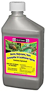 Best Fall Lawn Fertilizer And Weed Control