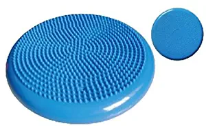 Best Wiggle Seat Sensory Chair Cushion