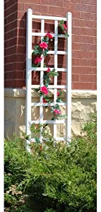 Best Garden Trellis White