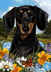 Best Dachshund Garden Flag
