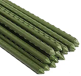 Best 36 Inch Bamboo Garden Stakes