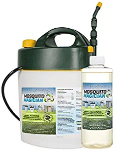 Best Home Flea Treatment Pet Safe