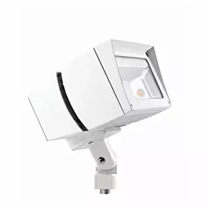 Best Rab Lighting Flood Led