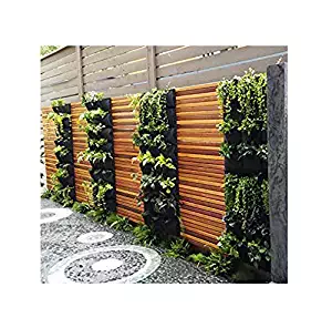 Best Outdoor Vertical Garden
