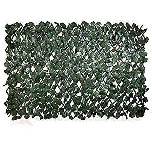 Best Garden Fencing 36′ High