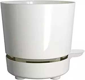 Best Pot Garden Soil