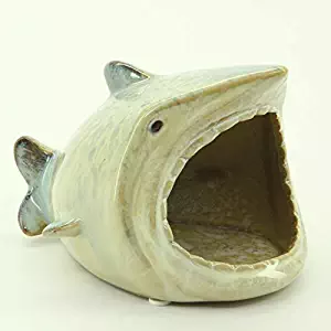 Best Cute Sponge Holder For Kitchen Sink