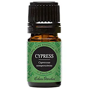 Best Edens Garden Essential Oil Holiday