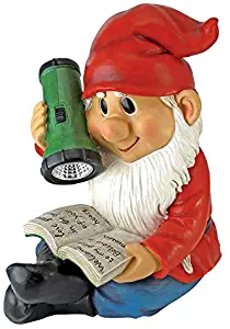 Best Book Garden Gnome