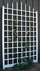 Best Garden Trellis White