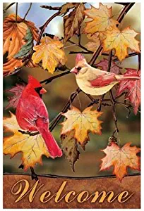 Best Small Garden Flag School