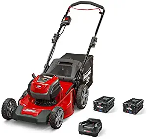 Best Ego Lawn Mowers Electric 20
