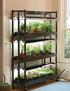 Best Garden Grow Lights Indoor