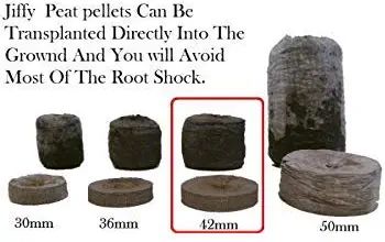 Best Organic Garden Soil For Vegetables