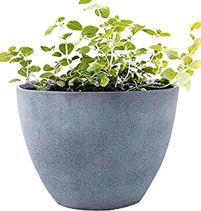 Best Decorative Clay Garden Pots