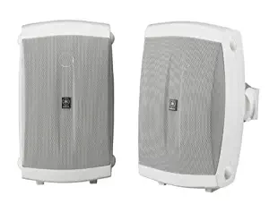 Best Pair Wireless Indoor Home Speakers