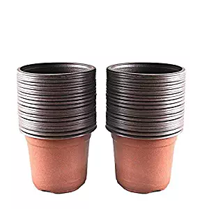 Best Plastics Garden Pots