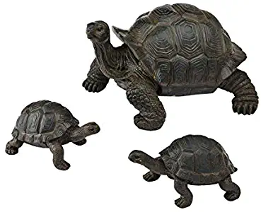 Best Garden Statues Turtle