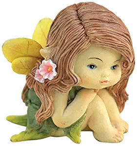 Best Top Collection Fairy Garden Accessories