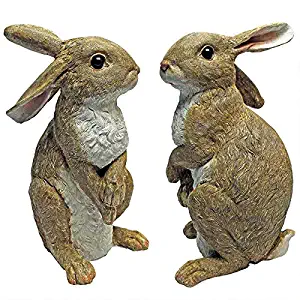 Best Set Of Bunny Garden Statues