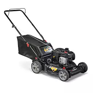 Best 21 In Gas Push Lawn Mowers