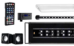Best Current Led Aquarium Lighting 48 – 60