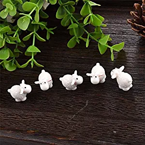 Best Micro Fairy Garden Accessories