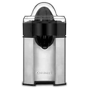 Best Kitchen Aid Vegetable Juicer