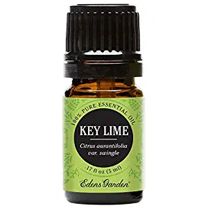 Best Essential Oil Tea Tree Edens Garden