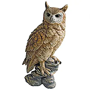 Best Garden Statues Owls