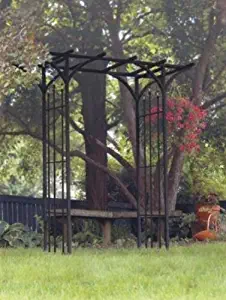 Best Garden Trellis For Trumpet Vine