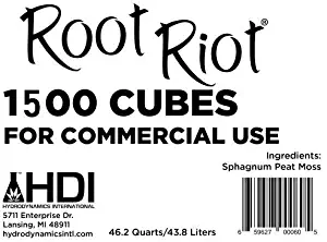 Best Lawn Fertilizer Steps