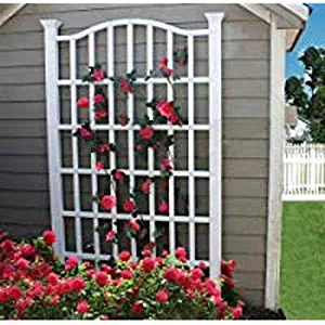 Best Garden Trellis For Trumpet Vine