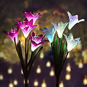 Best Colorful Solar Garden Lights