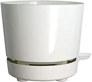 Best Containers For Indoor Herb Garden