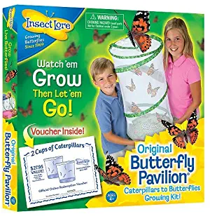 Best Live Butterfly Garden With 10 Caterpillars