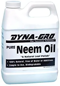 Best 32 Oz. Super Natural Liquid Lawn Fertilizer