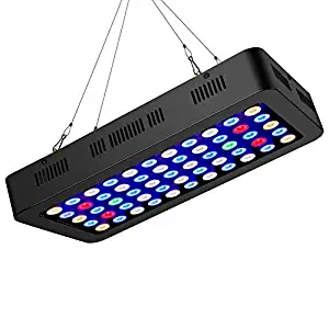 Best Ai Led Aquarium Lighting