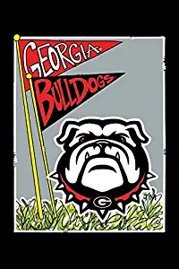 Best University Of Ga Garden Flag