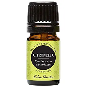 Best Essential Oil Tea Tree Edens Garden