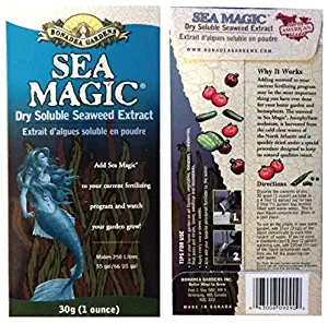 Best Liqid Lawn Fertilizer